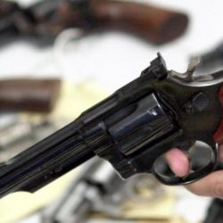 COMISSÃO DE CONSTITUIÇÃO E JUSTIÇA AUTORIZA POSSE DE ARMA DE FOGO POR MORADORES DA ZONA RURAL