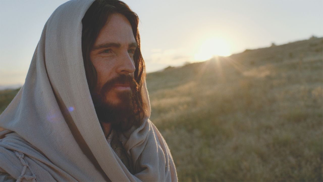 MENSAGEM DE REFLEXÃO: UMA VIDA SEM LIGAÇÃO COM JESUS É UMA VIDA SEM SENTIDO