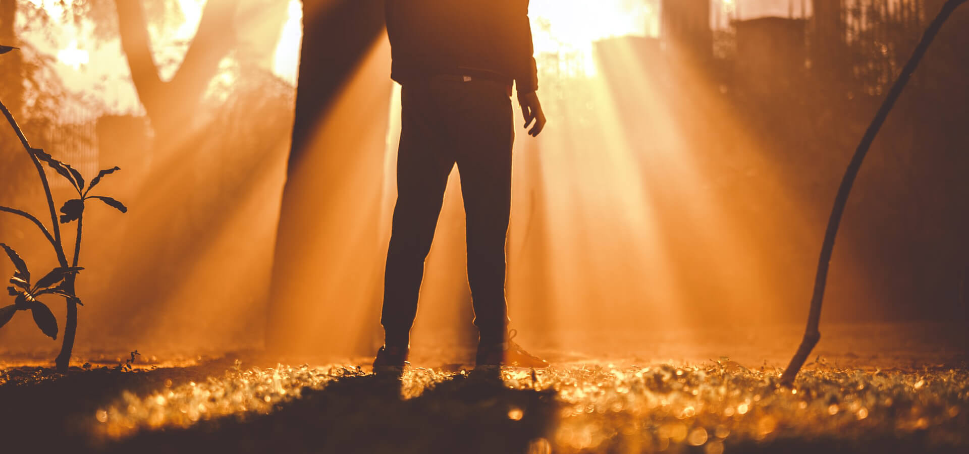 MENSAGEM DE REFLEXÃO: O SENHOR QUER DAR A VOCÊ, NO MEIO DO VALE ESCURO, UMA PROFUNDA COMUNHÃO COM ELE. SIM, JUSTAMENTE NUMA HORA ASSIM O SENHOR É SUA LUZ E SUA SALVAÇÃO!