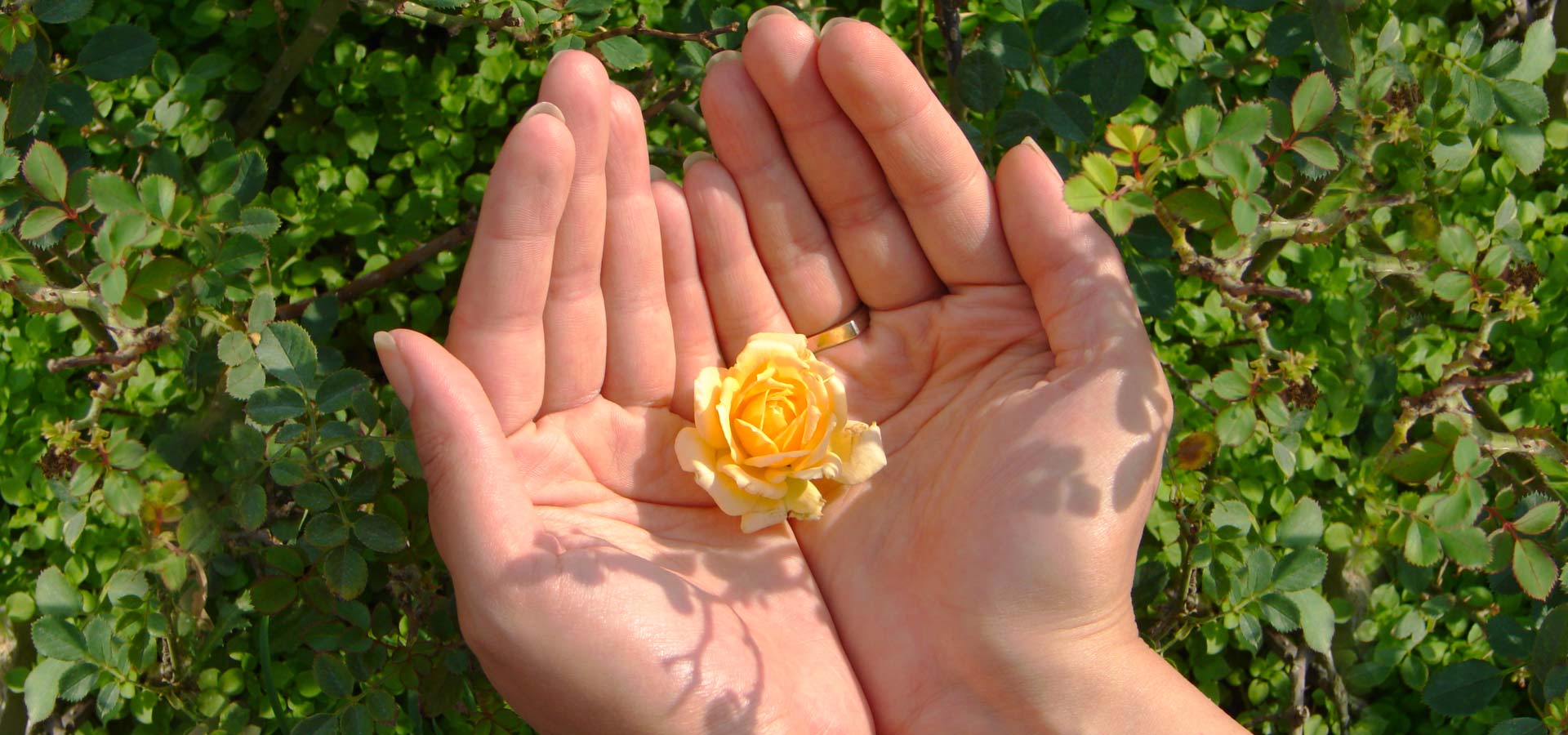 MENSAGEM DE REFLEXÃO: A RESPONSABILIDADE PARA UM DESPERTAMENTO NA FAMÍLIA E NA IGREJA ESTÁ COM CADA UM DE NÓS PESSOALMENTE. A QUESTÃO É SE NÓS O DESEJAMOS OU NÃO. MAS ESSA É A VONTADE DE DEUS!