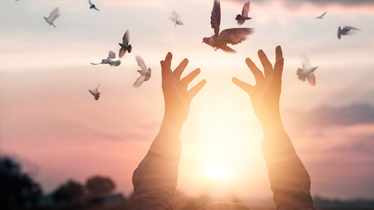 MENSAGEM DE REFLEXÃO: NO SILÊNCIO, O ESPÍRITO DE DEUS FALA A NÓS, NOS CONVENCE E NOS DISCIPLINA, E NOS LEVA A BUSCAR A PURIFICAÇÃO DOS PECADOS DO PASSADO, ATRAVÉS DO SANGUE DE JESUS