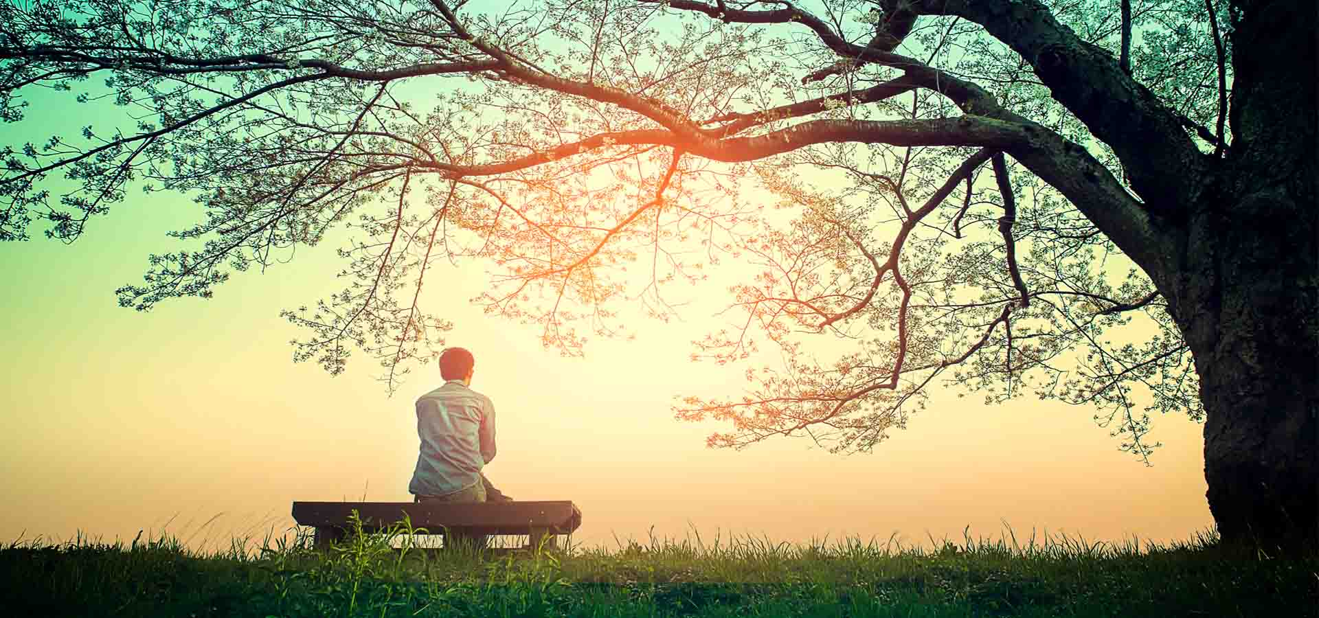 MENSAGEM DE REFLEXÃO: QUANDO NOS REVESTIMOS DA PACIÊNCIA DO SENHOR, A PALAVRA DE DEUS ESCRITA NOS TRANSMITE A CONSOLAÇÃO QUE VEM DAS ESCRITURAS, PARA QUE ATRAVÉS DELAS TENHAMOS UMA ESPERANÇA VIVA