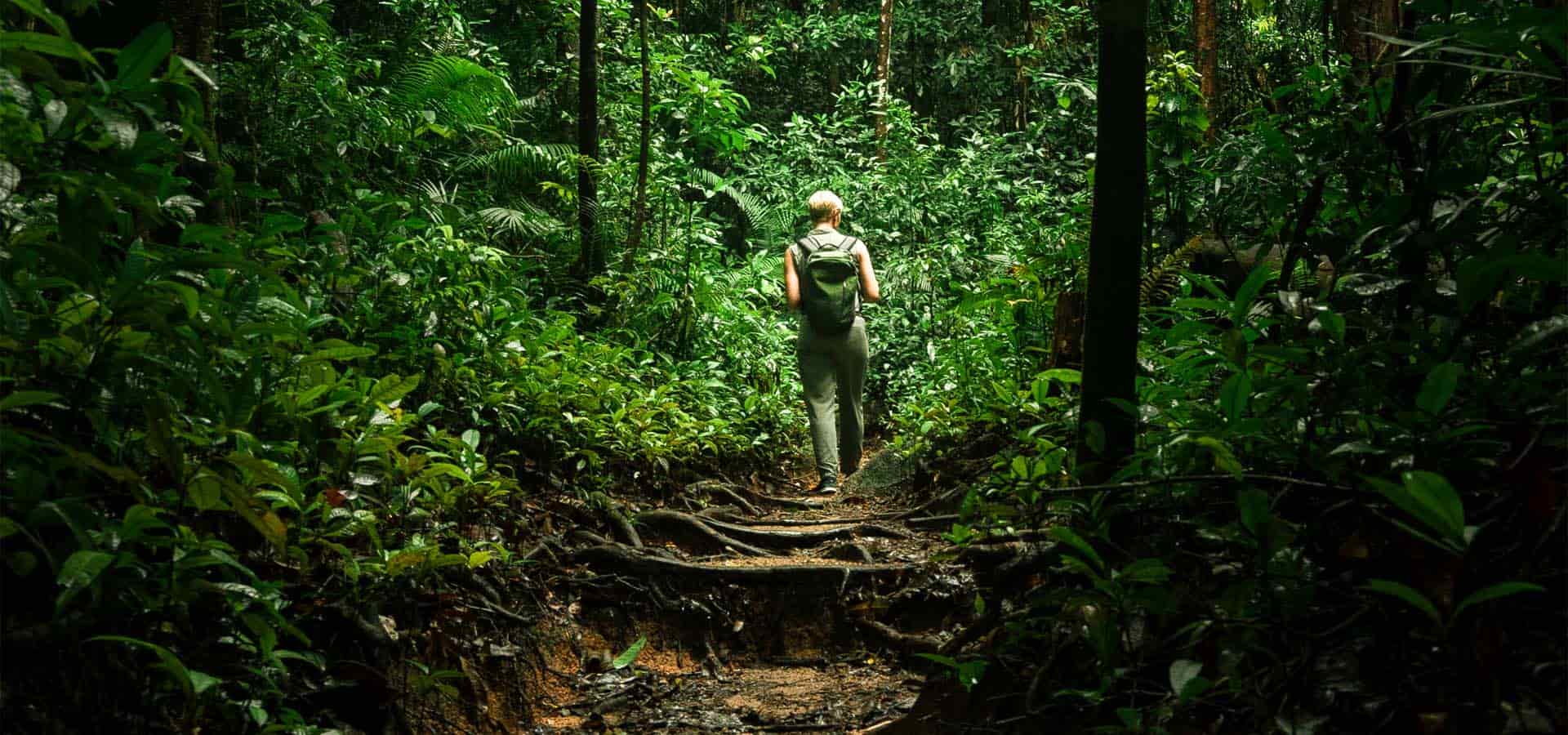 "AGRADA-TE DO SENHOR, E ELE SATISFARÁ AOS DESEJOS DO TEU CORAÇÃO. ENTREGA O TEU CAMINHO AO SENHOR, CONFIA NELE, E O MAIS ELE FARÁ"