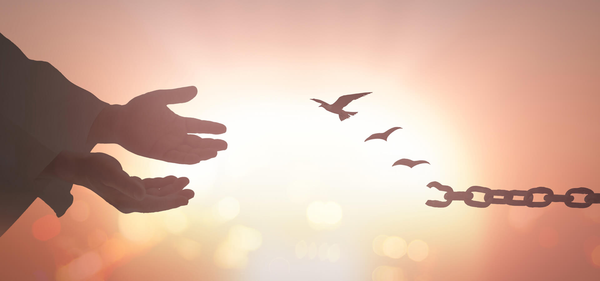 "SE, TODAVIA, ALGUÉM PECAR, TEMOS ADVOGADO JUNTO AO PAI, JESUS CRISTO, O JUSTO."