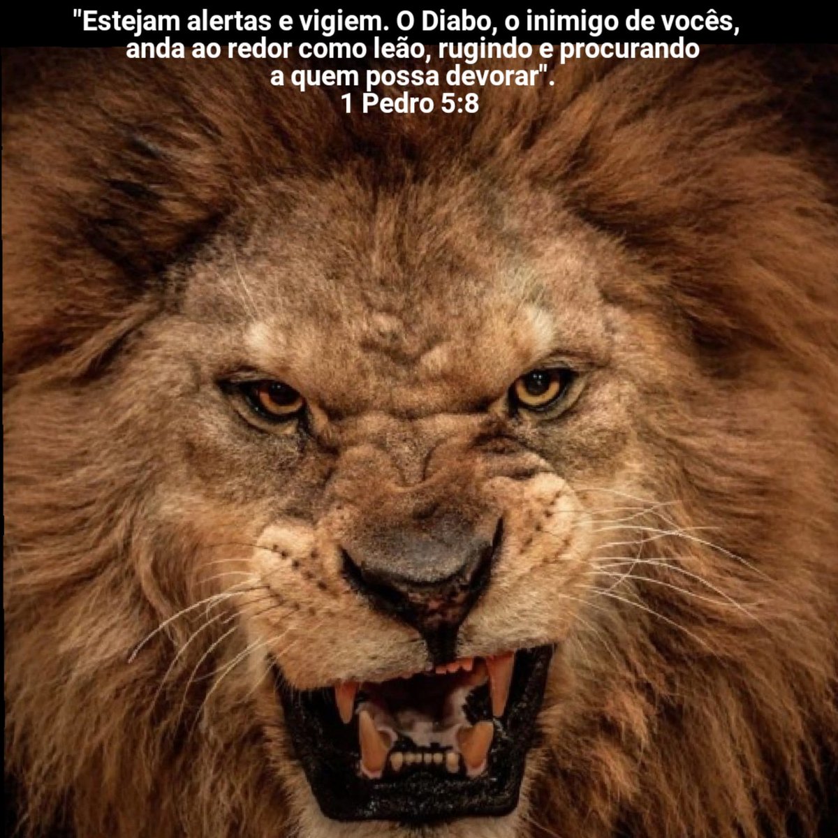 VOCÊ JÁ NOTOU COMO O INIMIGO TENTA DISFARÇADAMENTE DESVIAR VOCÊ DO CAMINHO ESTREITO?