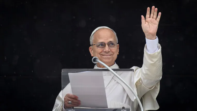 CATÓLICOS PODEM RECEBER TRANSPLANTES DE ÓRGÃOS DE ANIMAIS, DIZ VATICANO