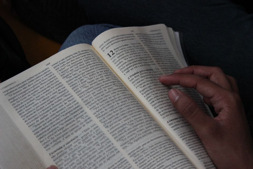 ACEITE A PALAVRA E PERMITA QUE ELA ILUMINE O SEU INTERIOR, JULGANDO O MAIS ÍNTIMO DE SEU SER E DISCERNINDO O QUE É APENAS EMOCIONAL DAQUILO QUE É ESPIRITUAL